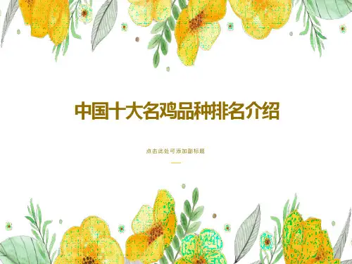 中国十大名鸡品种排名