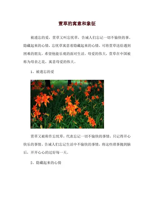 萱草的寓意和象征