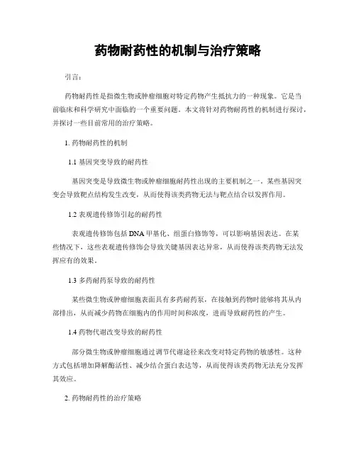 药物耐药性的机制与治疗策略