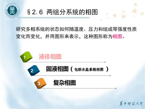 2.6 两组分系统的相图-2