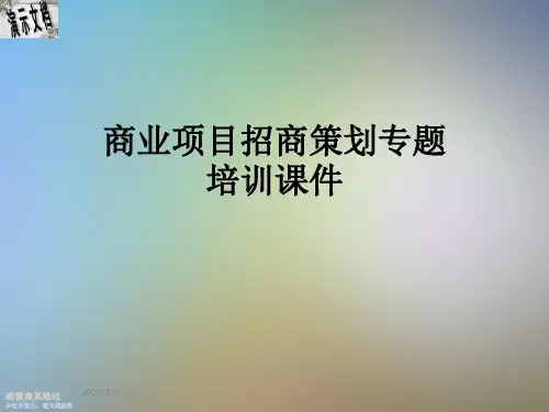 商业项目招商策划专题培训课件