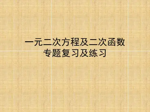 一元二次方程及二次函数应用题练习与讲解资料.
