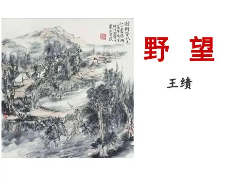 第13课《唐诗五首-野望》