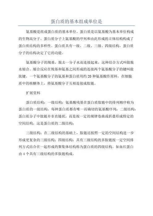 蛋白质的基本组成单位是