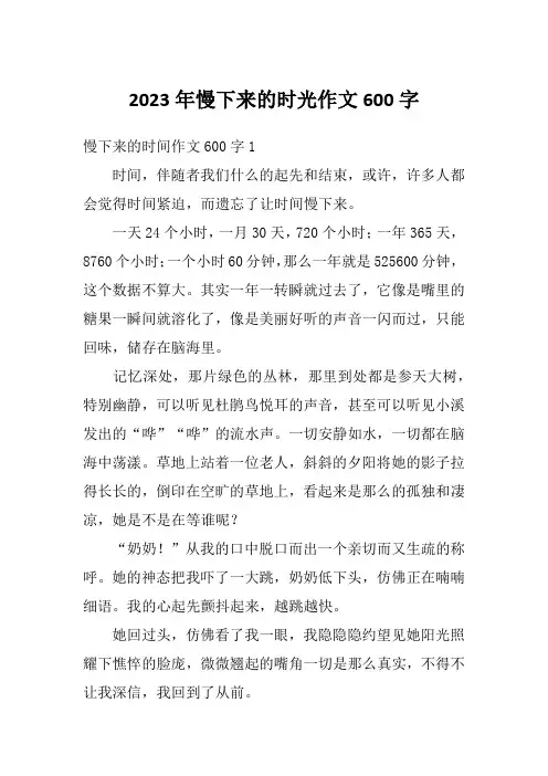 2023年慢下来的时光作文600字