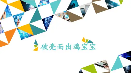 六年级全一册信息技术课件-第4课 破壳而出鸡宝宝 冀人版(共13张PPT)