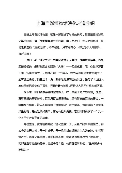 上海自然博物馆演化之道介绍