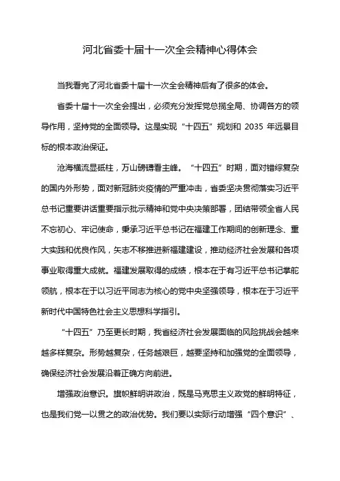 河北省委十届十一次全会精神心得体会