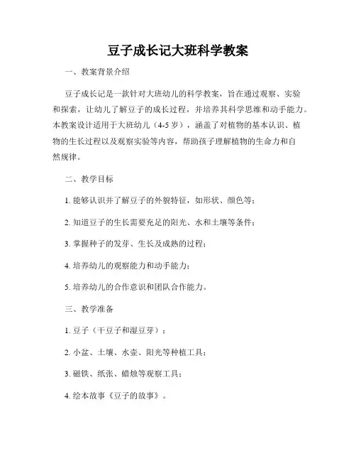 豆子成长记大班科学教案