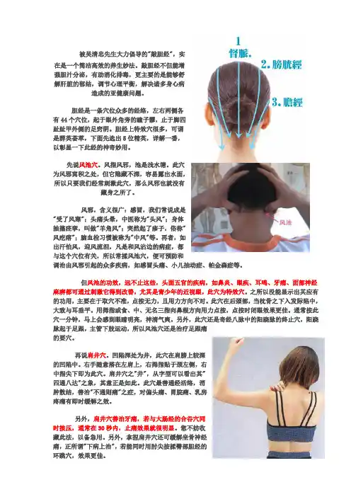 胆经