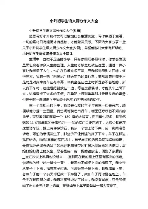 小升初学生语文满分作文大全（5篇）