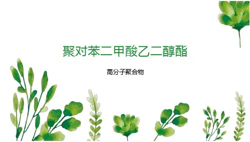 聚对苯二甲酸乙二醇酯