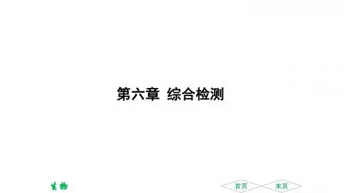 2018年春人教版生物七年级下册课件：第六章 综合检测 (共28张PPT)