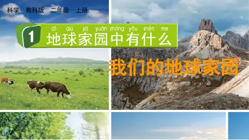 二年级科学上册第一单元  我们的地球家园第1课《地球家园中有什么》教学课件