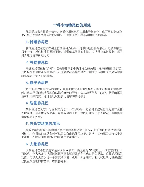 十种小动物尾巴的用处