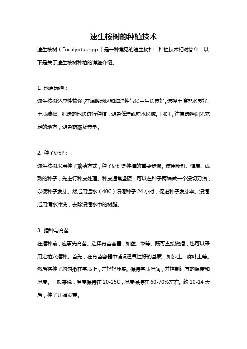 速生桉树的种植技术