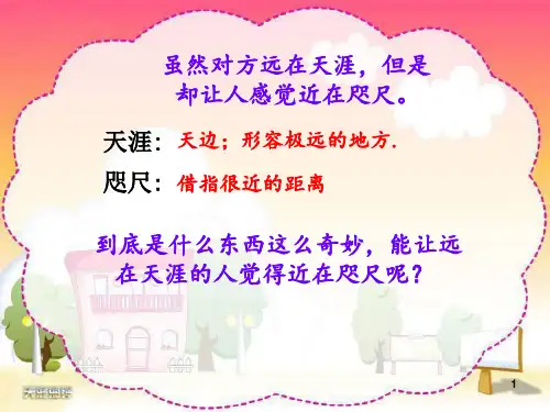 奇妙的国际互联网ppt课件