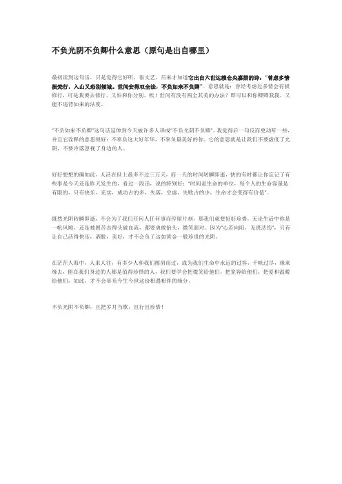 不负生活不负卿意思