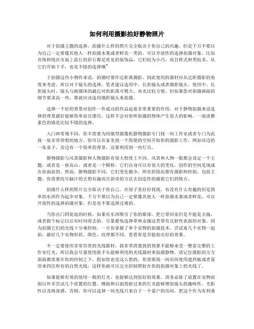 如何利用摄影拍好静物照片
