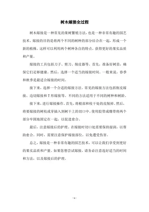 树木嫁接全过程