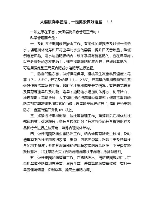 大樱桃春季管理，一定抓紧做好这些！！！