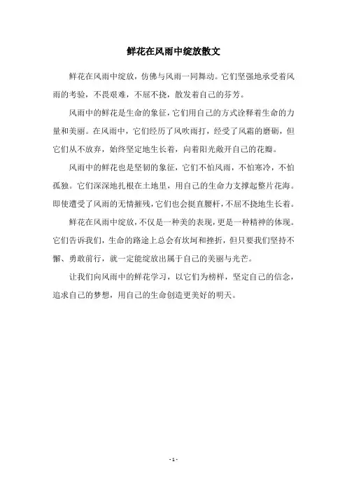 鲜花在风雨中绽放散文