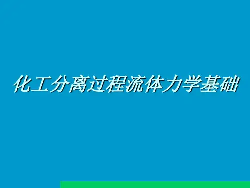 化工过程流体力学基础
