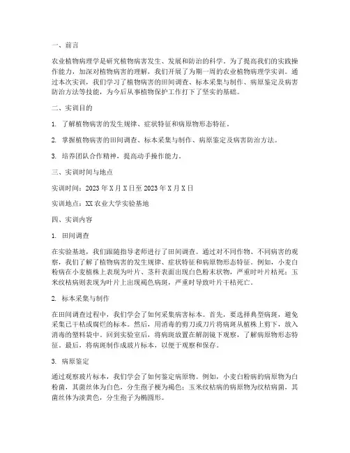 农业植物病理学实训报告