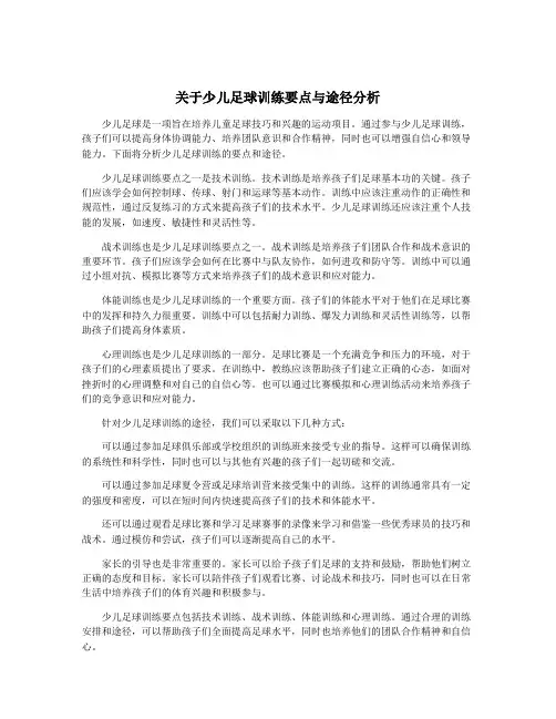 关于少儿足球训练要点与途径分析