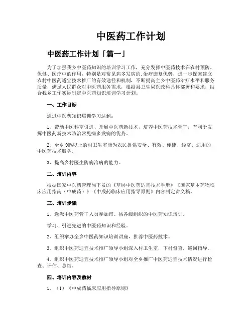 中医药工作计划