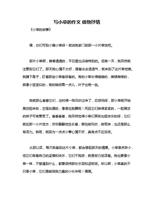 写小草的作文 借物抒情