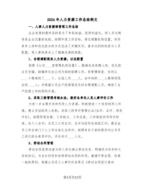 2024年人力资源工作总结例文(5篇)