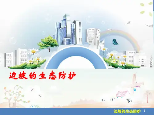现代边坡绿化技术及生态防护(49页)