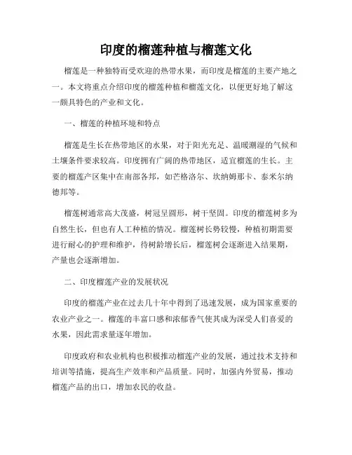 印度的榴莲种植与榴莲文化