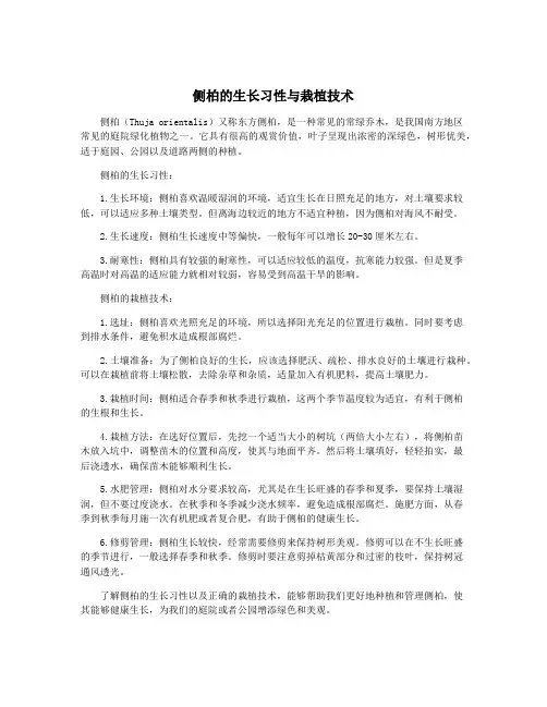 侧柏的生长习性与栽植技术