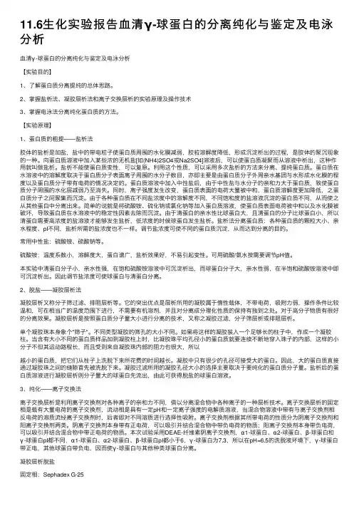 11.6生化实验报告血清γ-球蛋白的分离纯化与鉴定及电泳分析