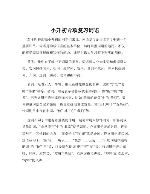 小升初专项复习词语