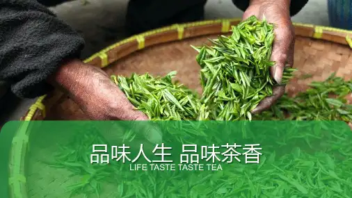 茶文化介绍PPT课件模板