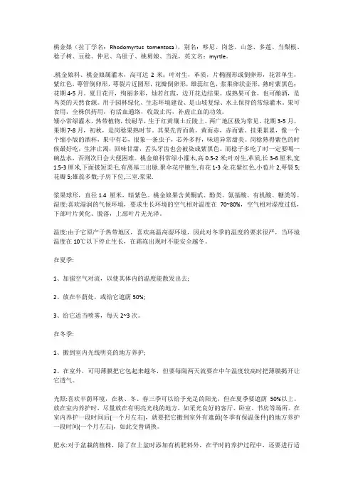 桃金娘