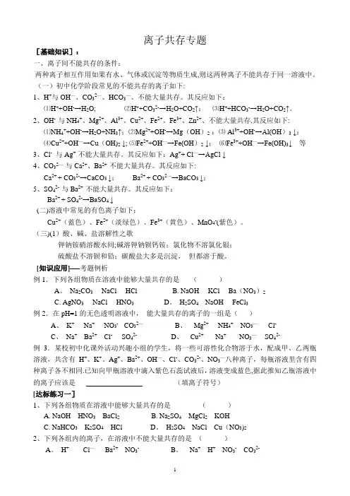 初三化学中考专题-离子共存