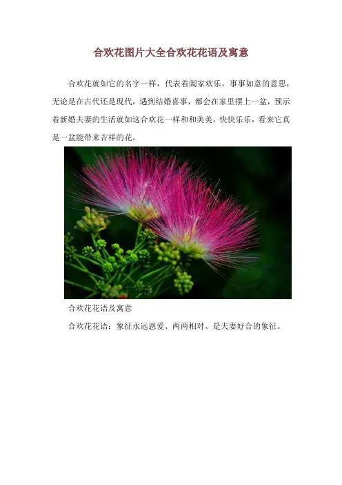 合欢花图片大全 合欢花花语及寓意
