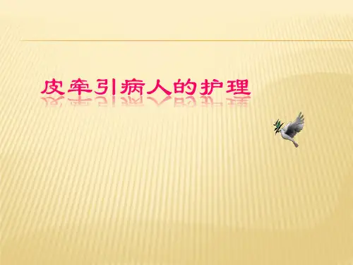 皮牵引的护理 PPT课件