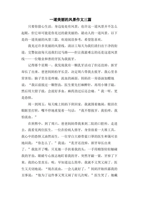 一道美丽的风景作文三篇