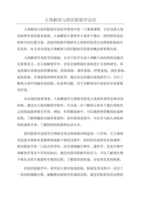 人体解剖与组织胚胎学总结