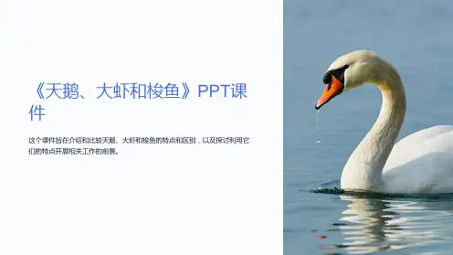 《天鹅、大虾和梭鱼》课件