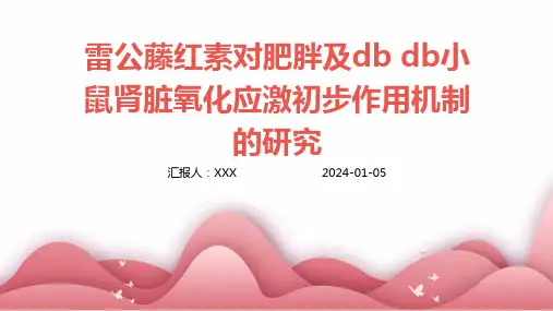 雷公藤红素对肥胖及db db小鼠肾脏氧化应激初步作用机制的研究演示稿件