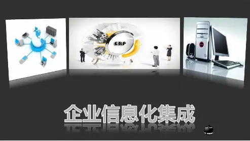 ERP原理与应用-企业信息化集成