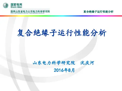 复合绝缘子运行性能分析