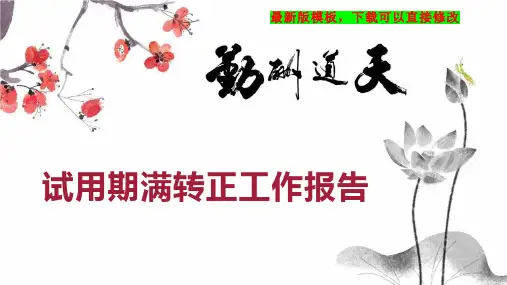 试用期满转正工作报告PPT模板下载