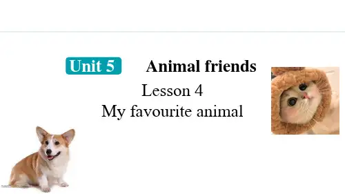 Unit5Animalfriends4.Lesson4(课件)冀教版七年级英语上册